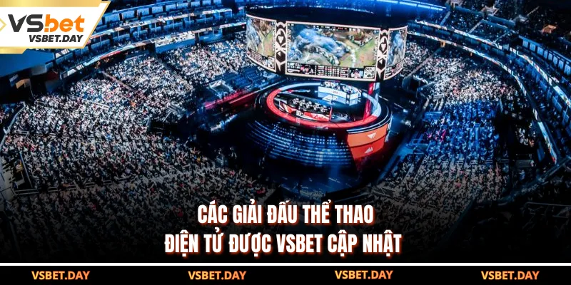 Các giải đấu thể thao điện tử được VSBET cập nhật